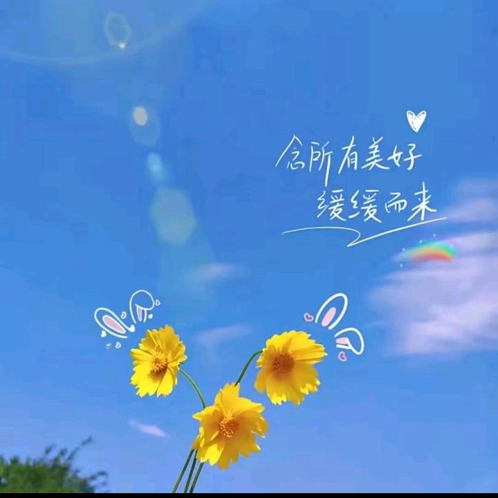 @qin