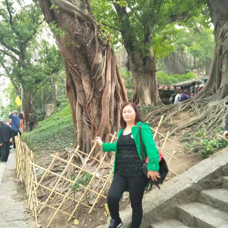 漂泊的心