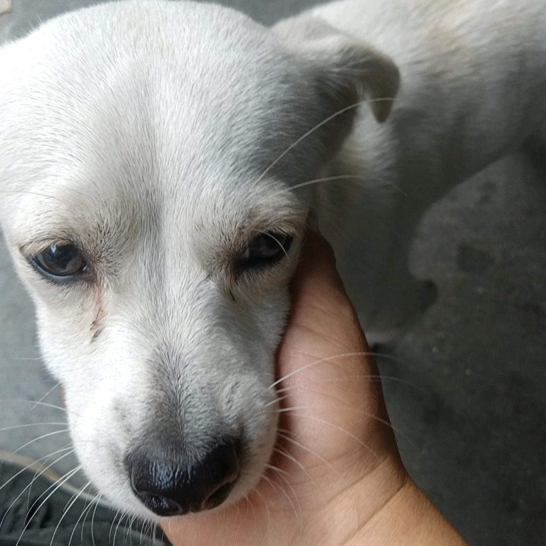 龙城酒保，8+1等于啥