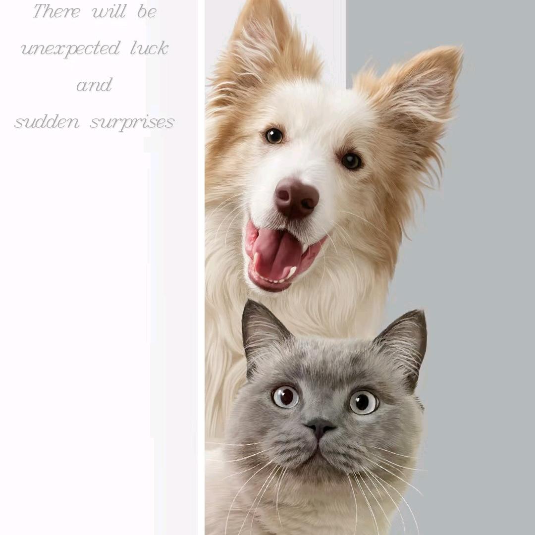 宠物科普指南-张超