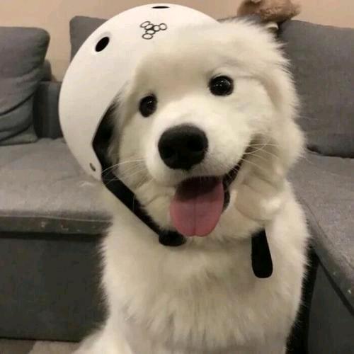 心有明灯