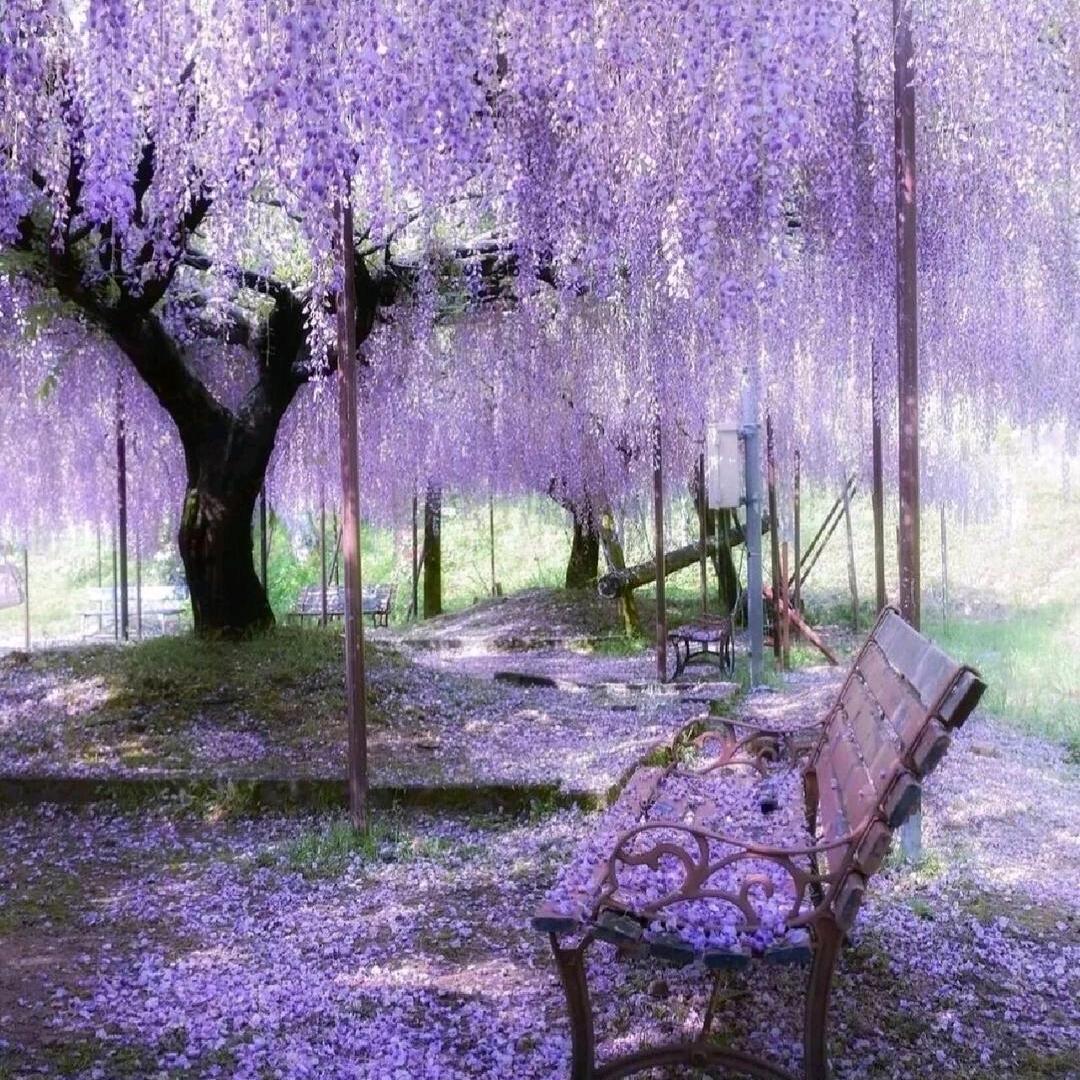 春去春又回