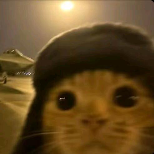 无敌的沸羊羊大王