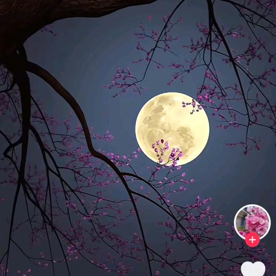～～～～～