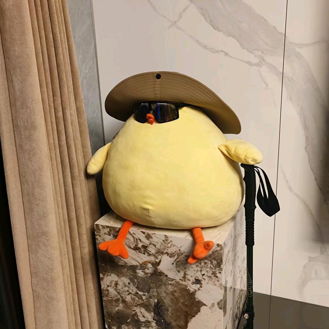 呆头（大学实习版）