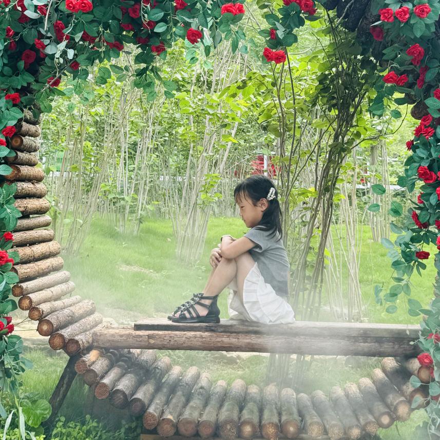 孙家二小姐
