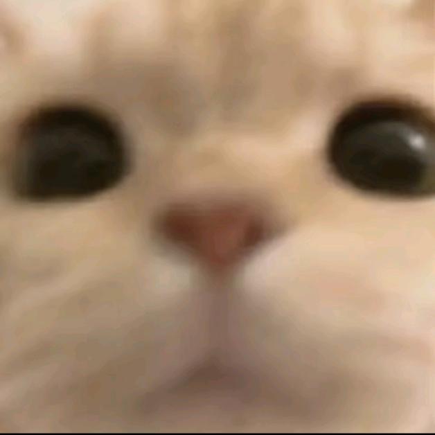啊啊啊啊啊啊