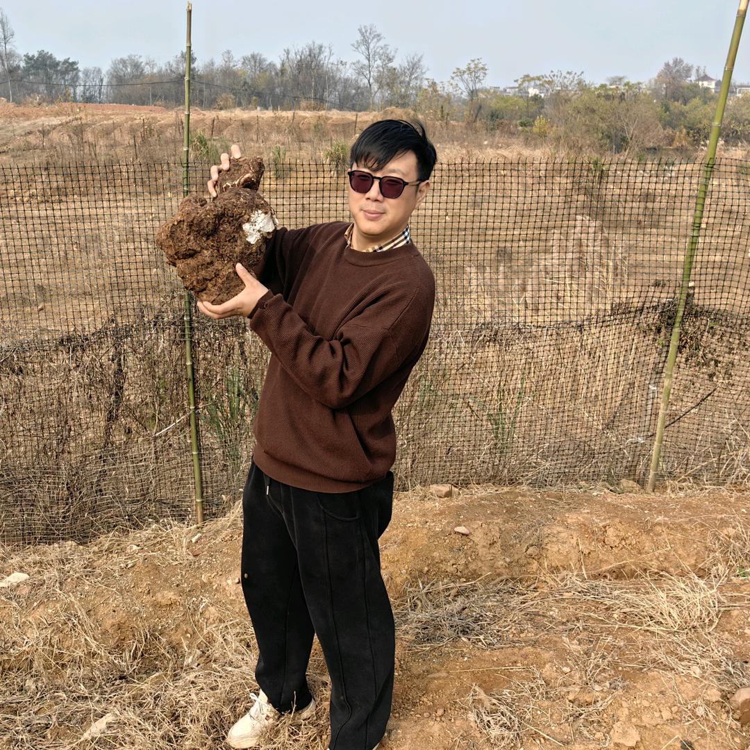 岳西大别山茯苓阿峰