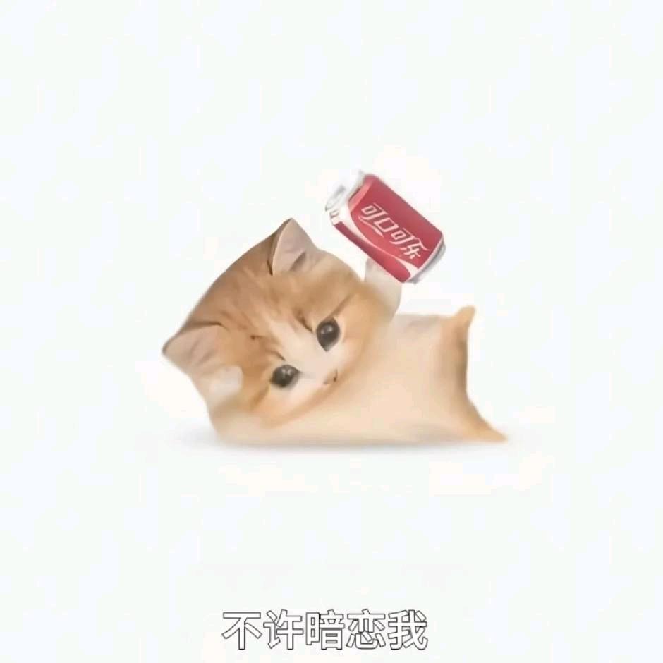 有本事就一刀铜丝我