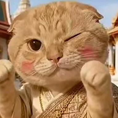 喜欢拆塔的刘禅小猫🌈