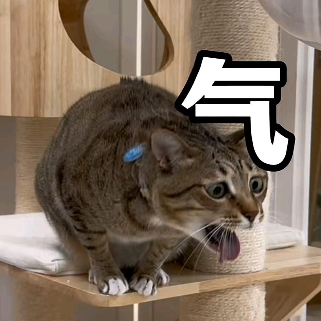 提灯干饭