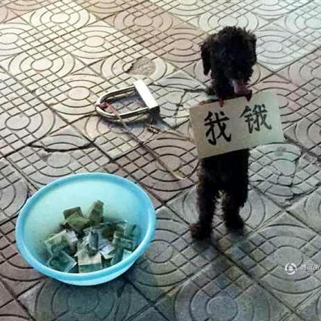 得与失