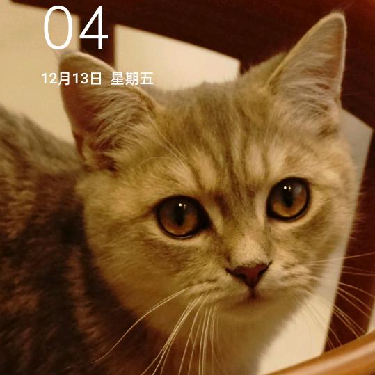 天使的眼泪