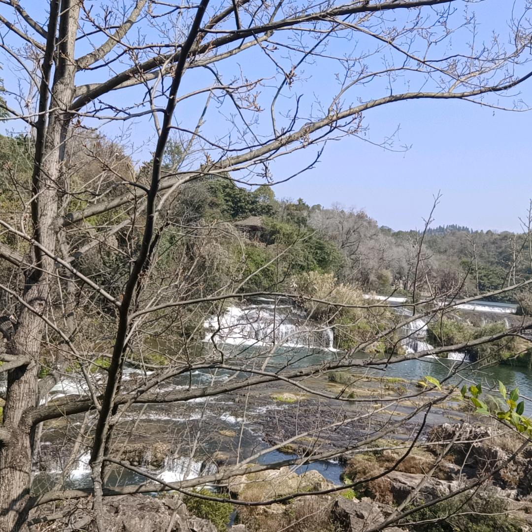 情伤人