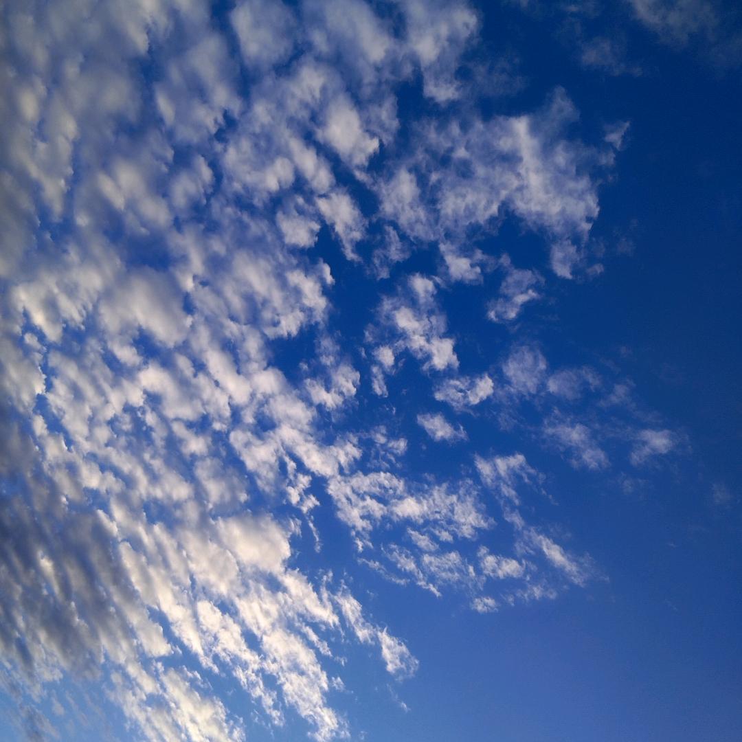 河南省 非正常人类研究中心 主任 包接送