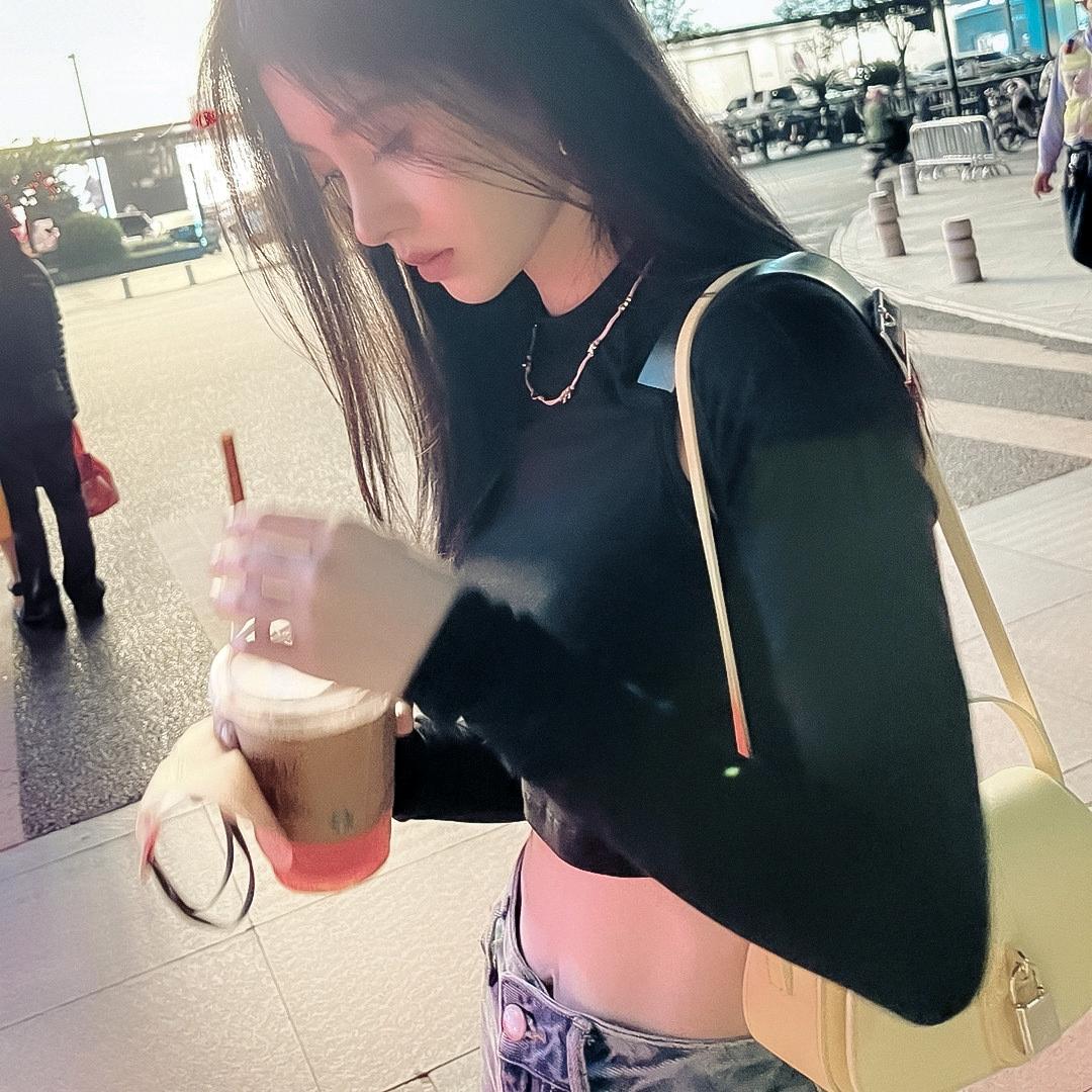kiku