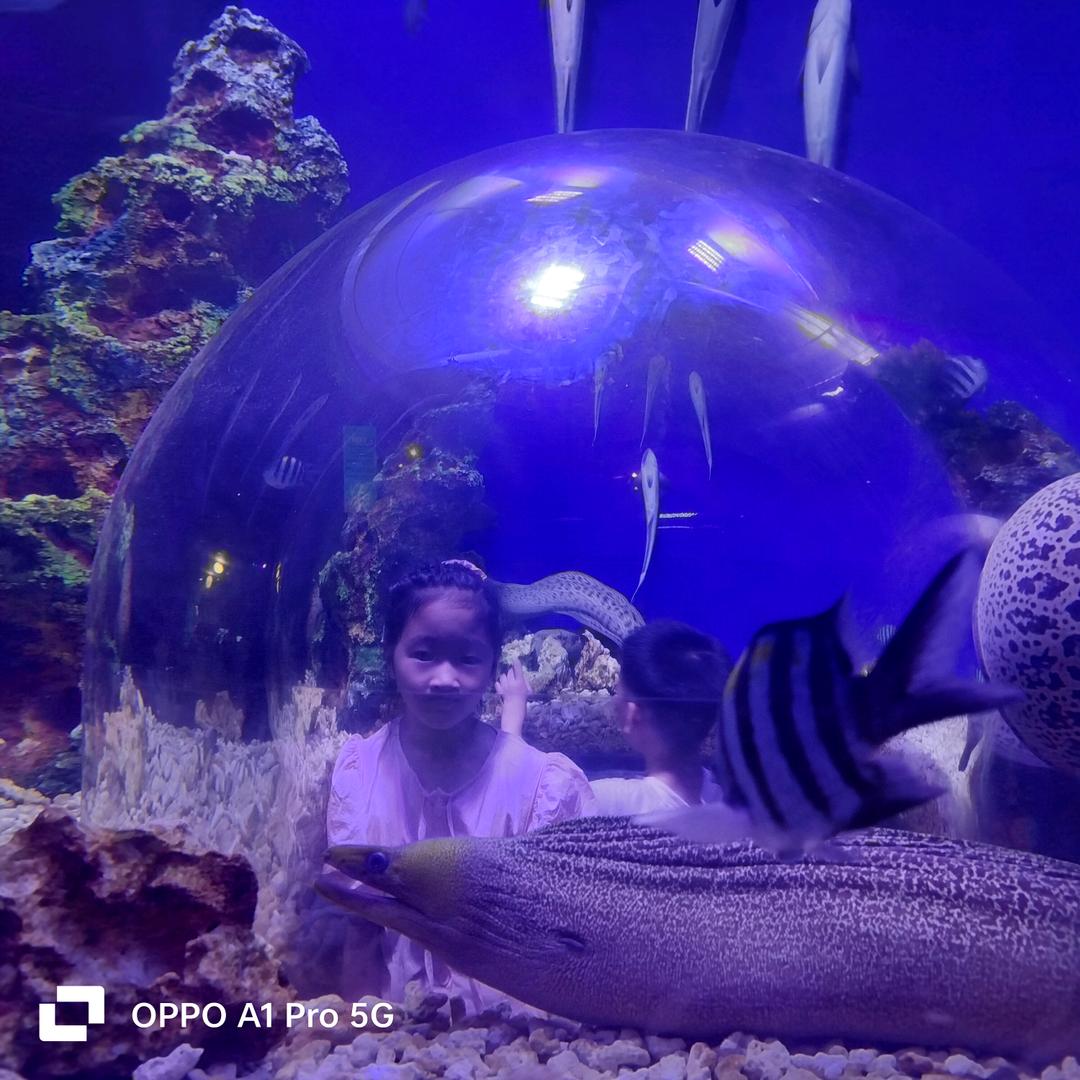 罗罗生日祝福视频制作