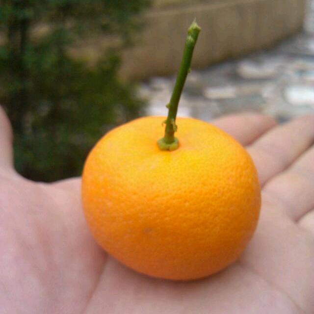 舍我