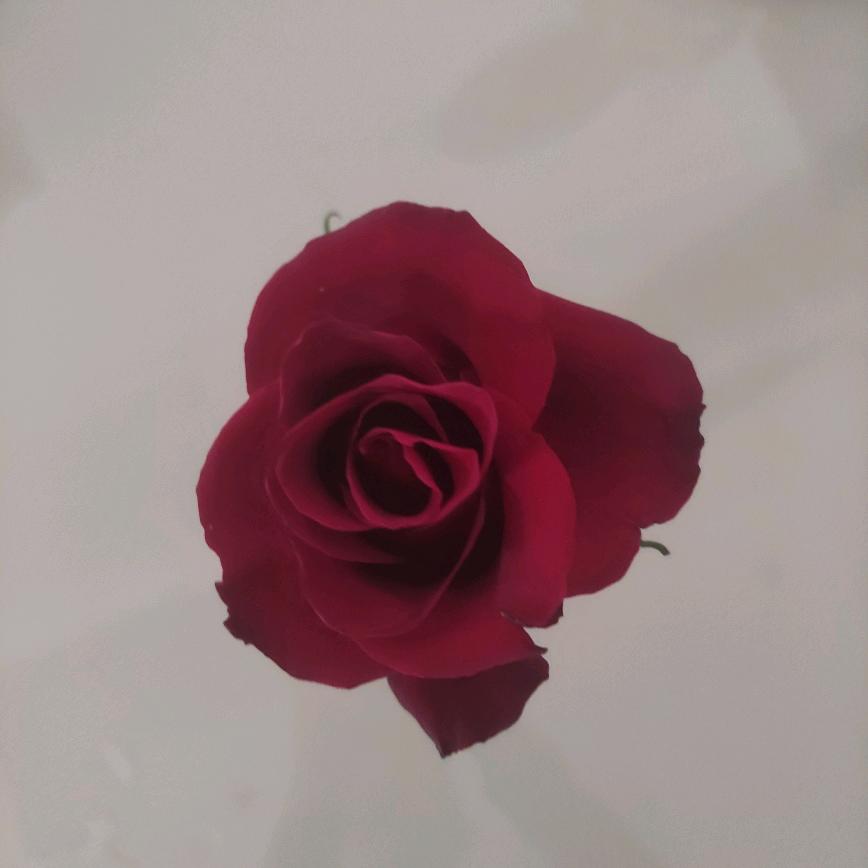 项目申报/补贴政策