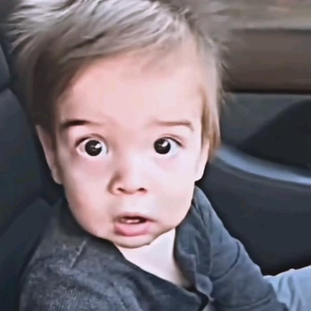 凶残的小白免丶