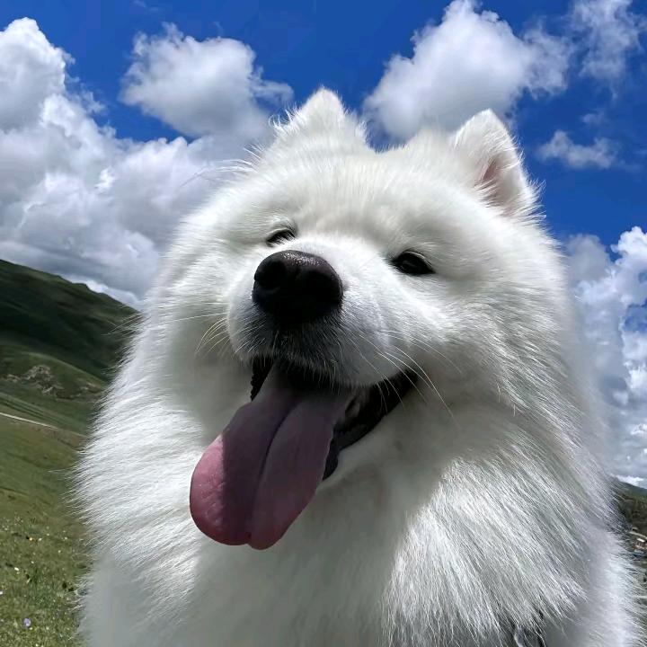 青空