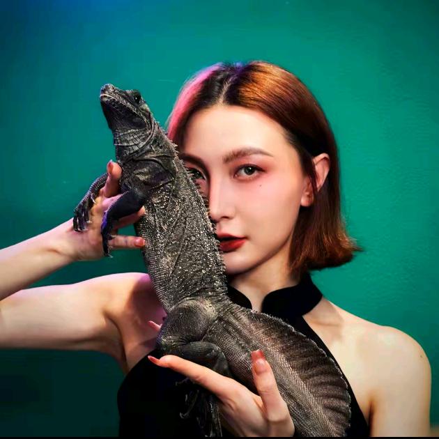 养爬姑娘爬宠