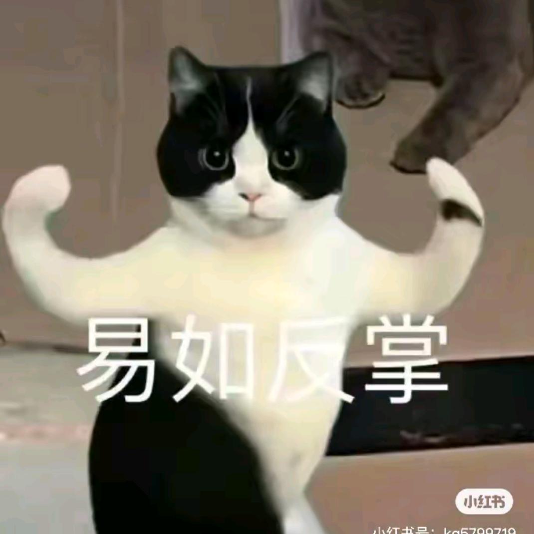 咦呦