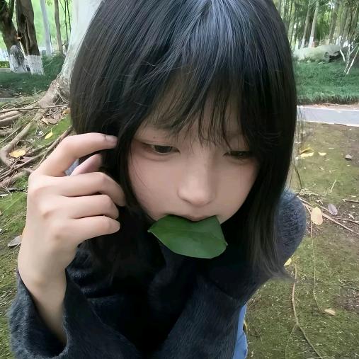 薄冰层