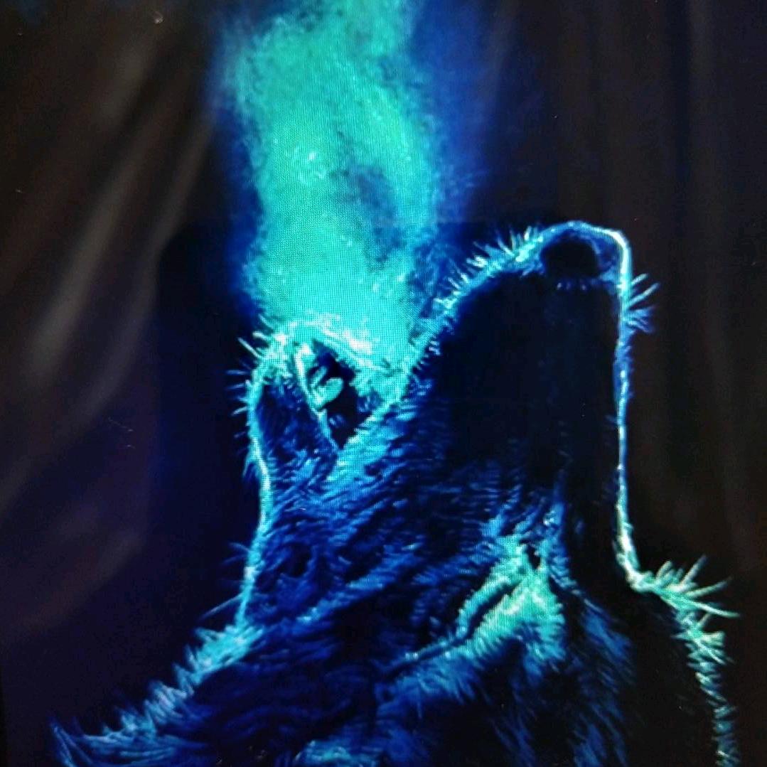 狼