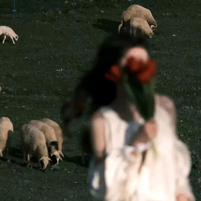 为娜谱写ˡᵒᵛᵉ~