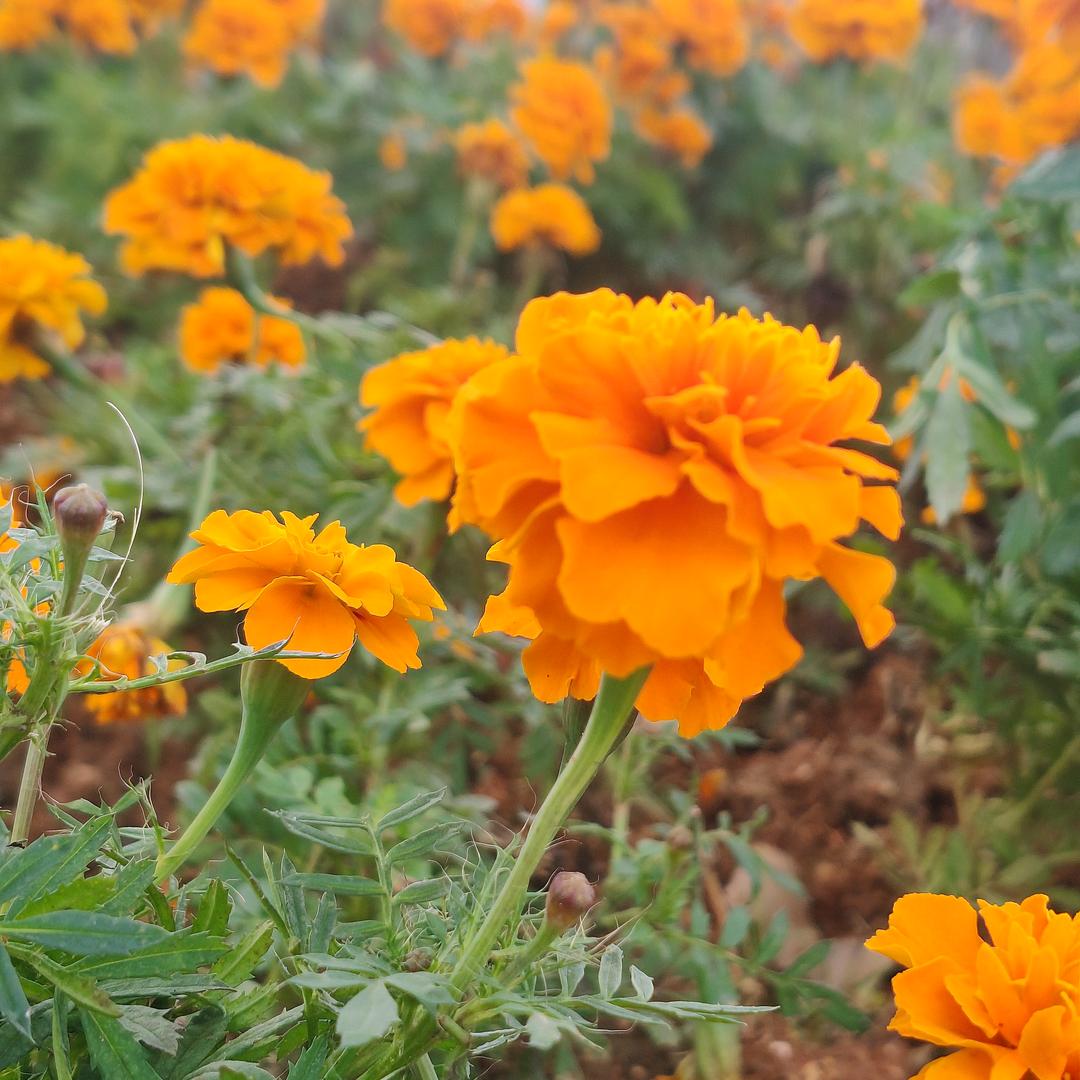 🌈🌈🌈时光轻浅