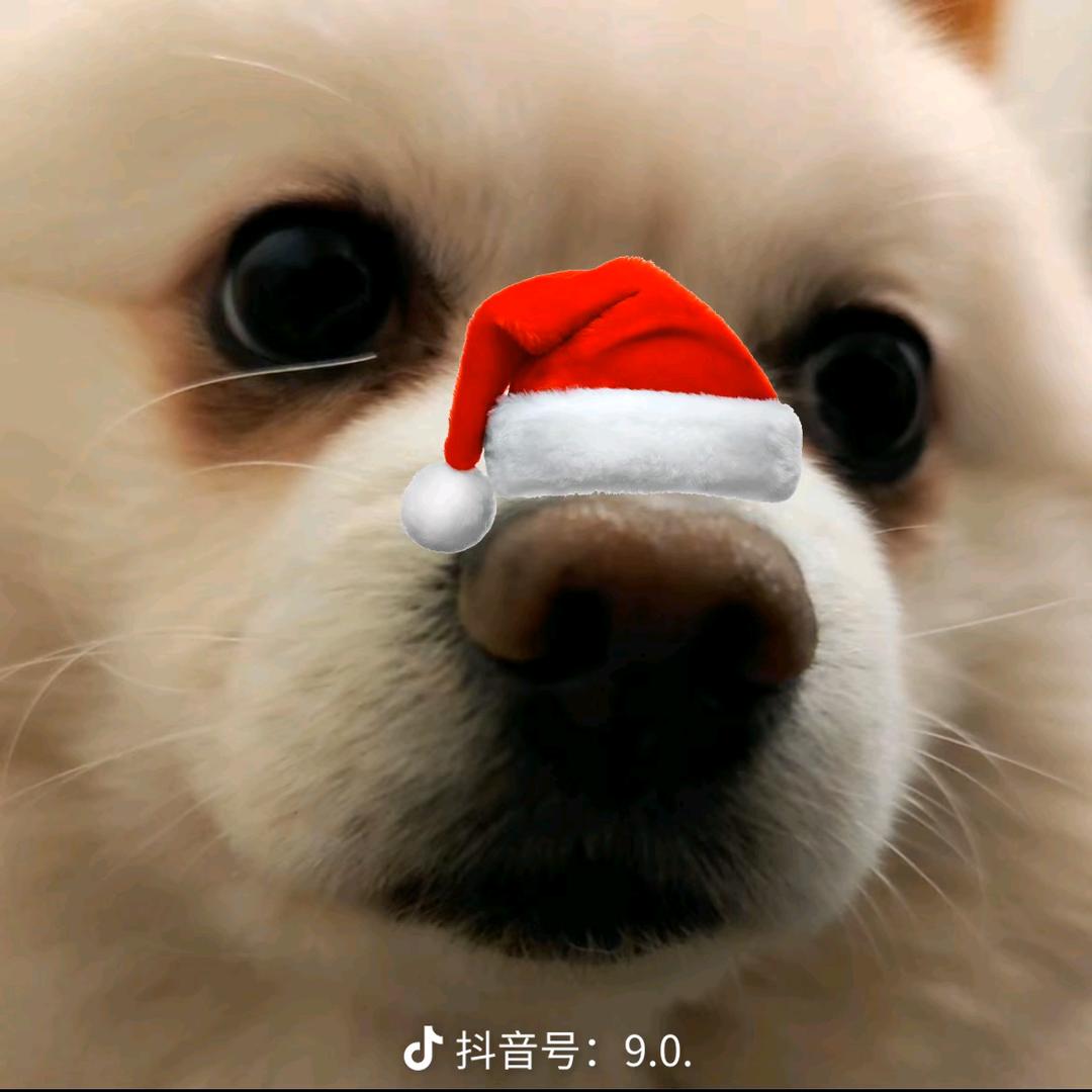 汽水味橘子