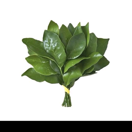 无论相见不相见