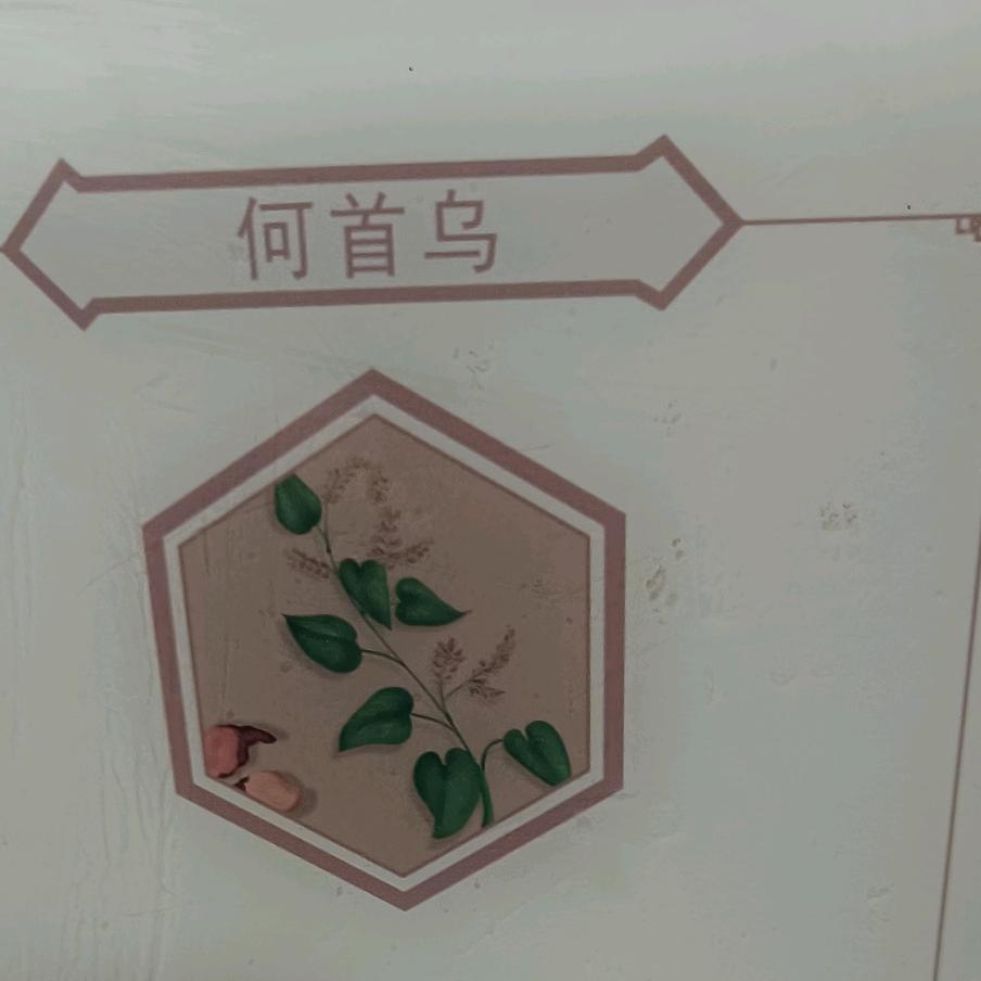 宝贝-法助