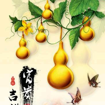 星辰阁精品葫芦