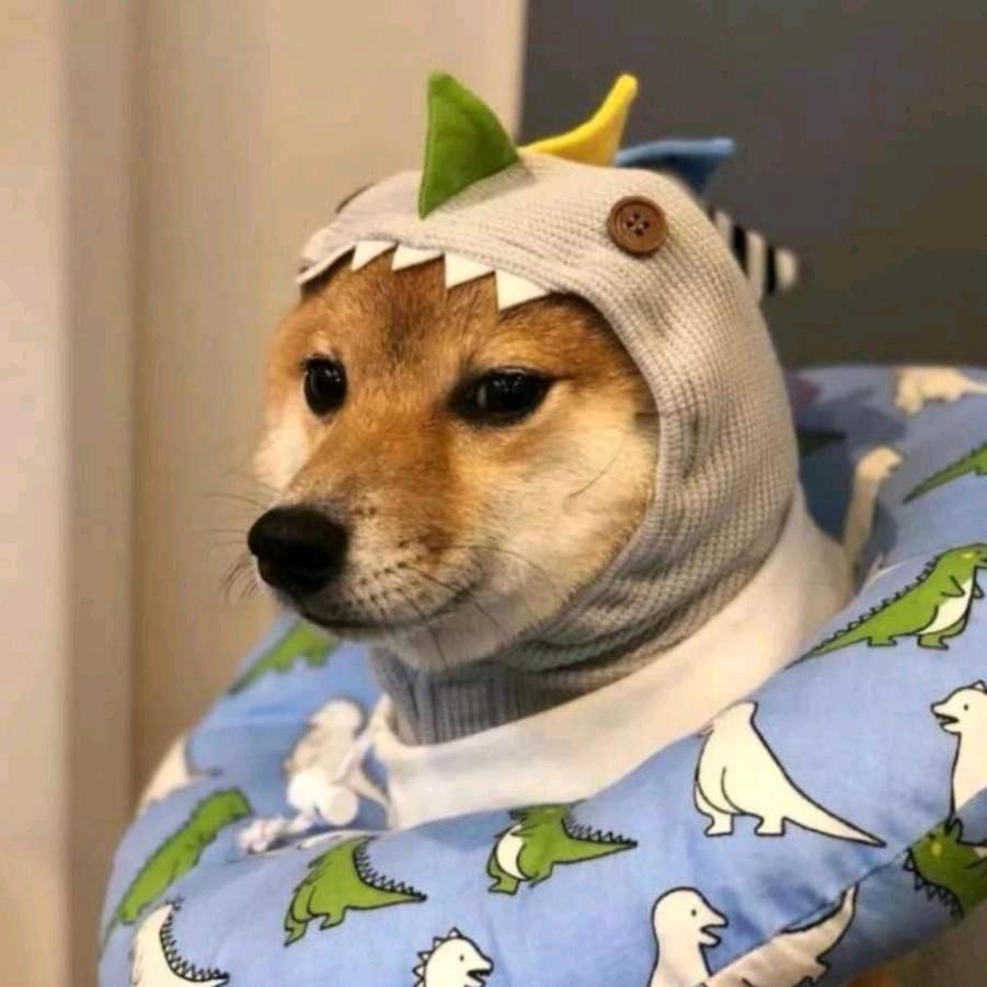 ho