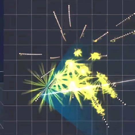 选民傻子（文化）