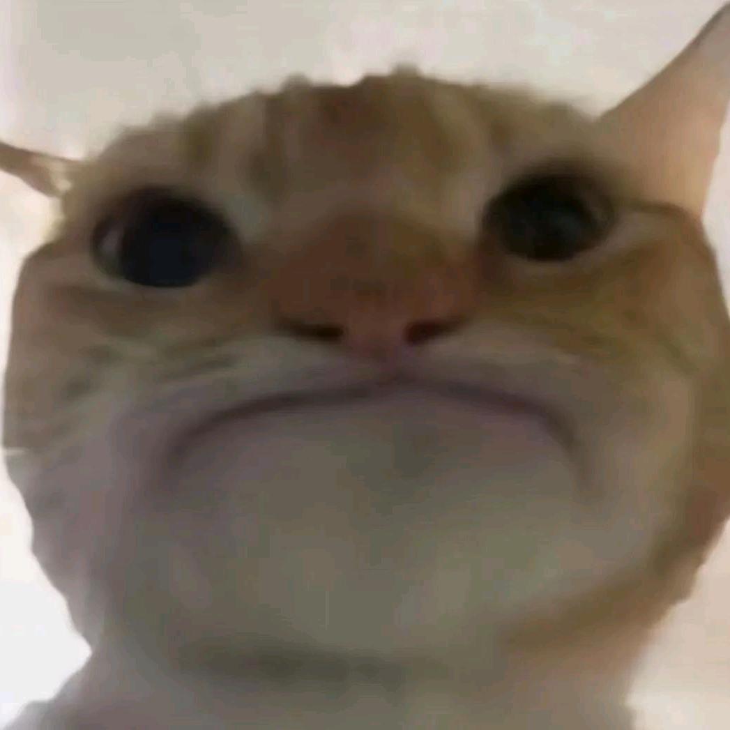八宝粥不行动