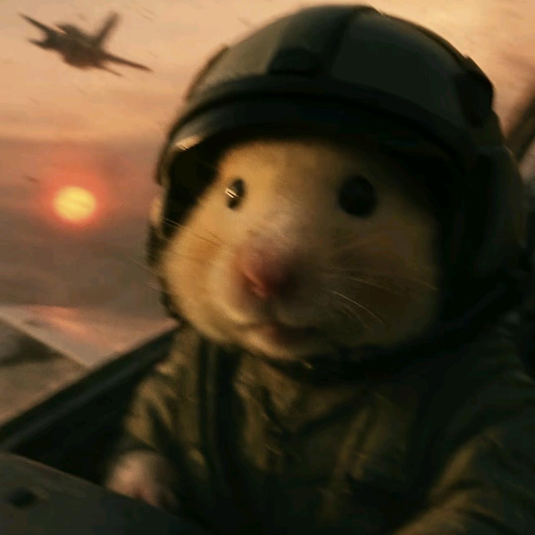 夜落（三角洲行动）