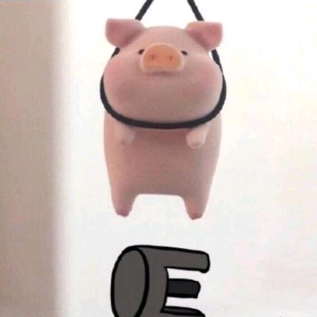 维诺阿果