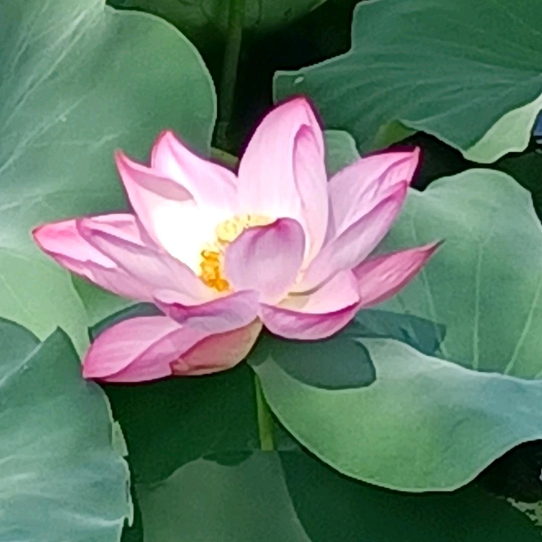 家是温馨的港湾