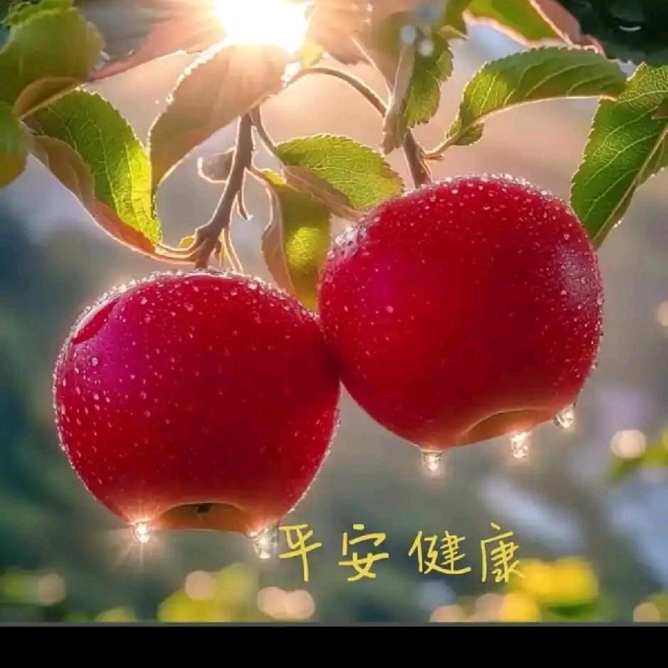 依🎀 然🍎🍎