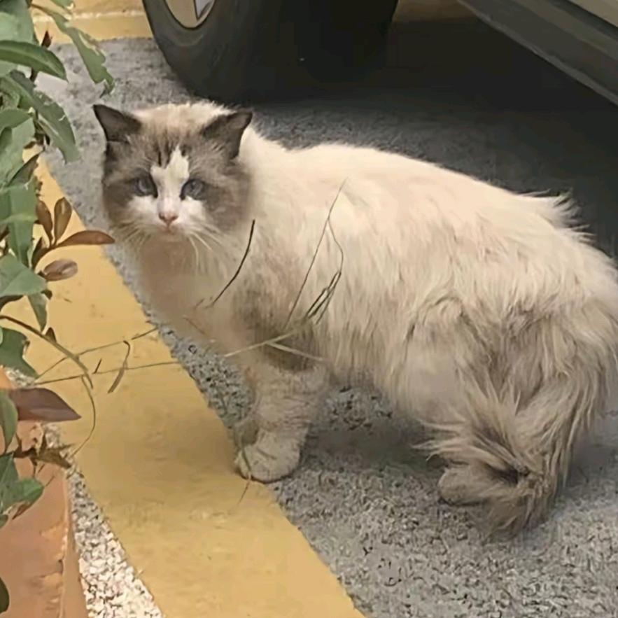 Zack(☁️🌧️🌞)