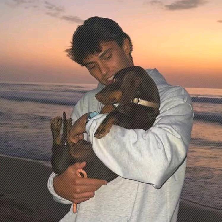 Yp