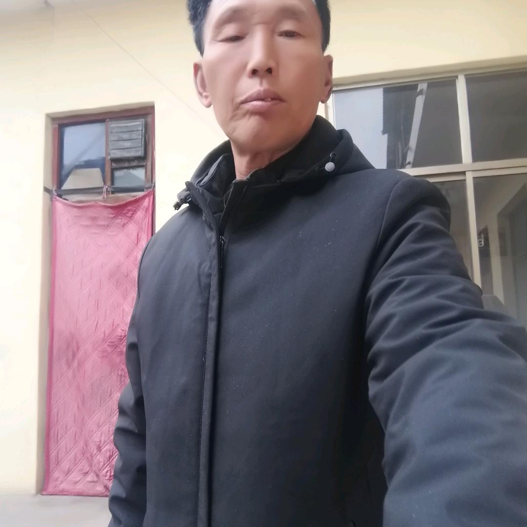 孤独的龙