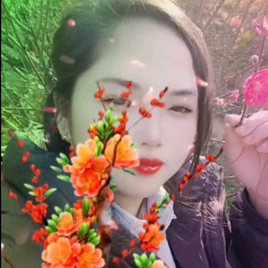越南陈姐