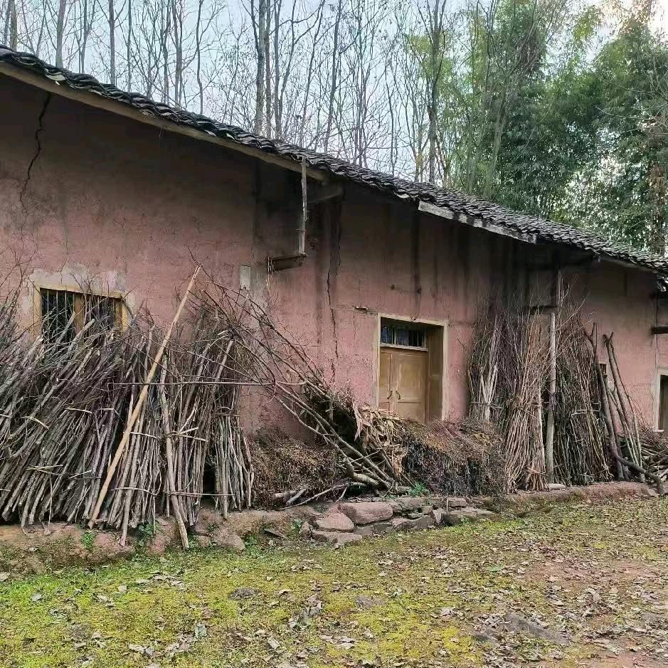 大漠孤鹰（重庆奉节）