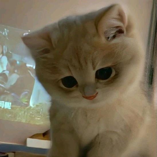 愤怒的企鹅