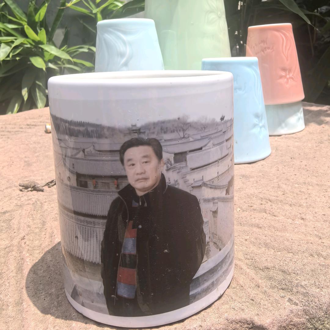 小缸游鱼