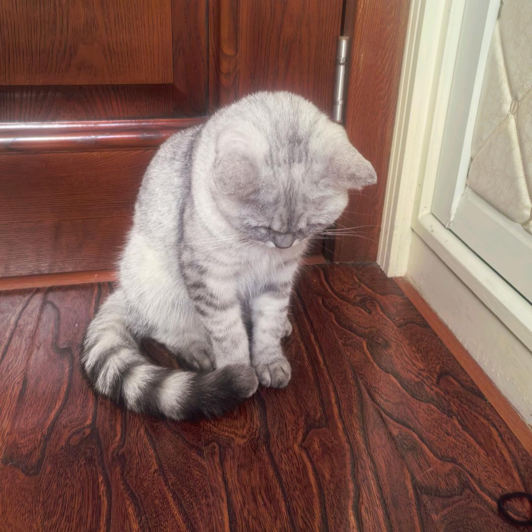 泰安驾校张教练